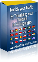 Google Adsense Websites Translator PingVOIP.com